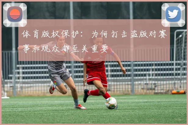 体育版权保护:为何打击盗版对赛事和观众都至关重要