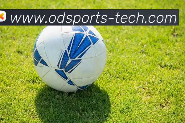 App 展示图